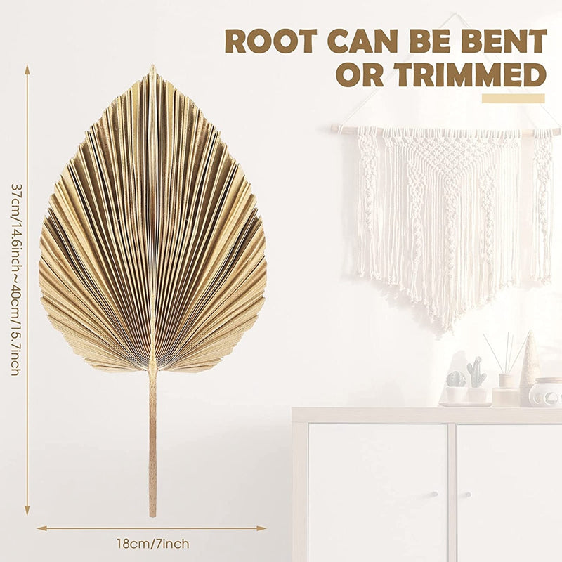 5Pcs Natural Dried Palm Leaves Tropical Dried Palm Fans Boho Dry Leaves Decor for Home Kitchen Wedding