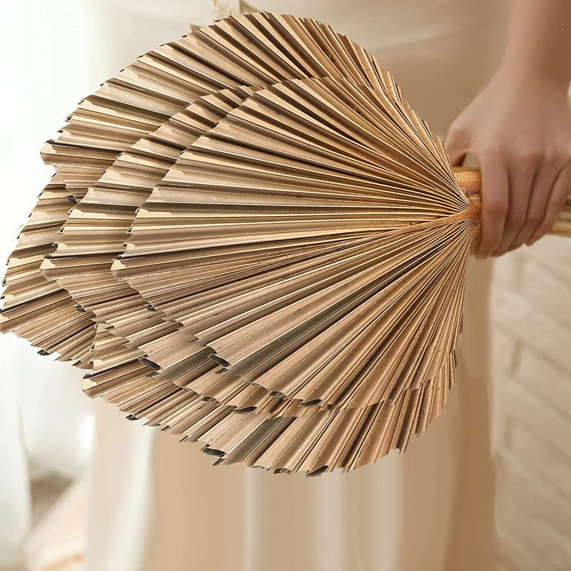 5Pcs Natural Dried Palm Leaves Tropical Dried Palm Fans Boho Dry Leaves Decor for Home Kitchen Wedding
