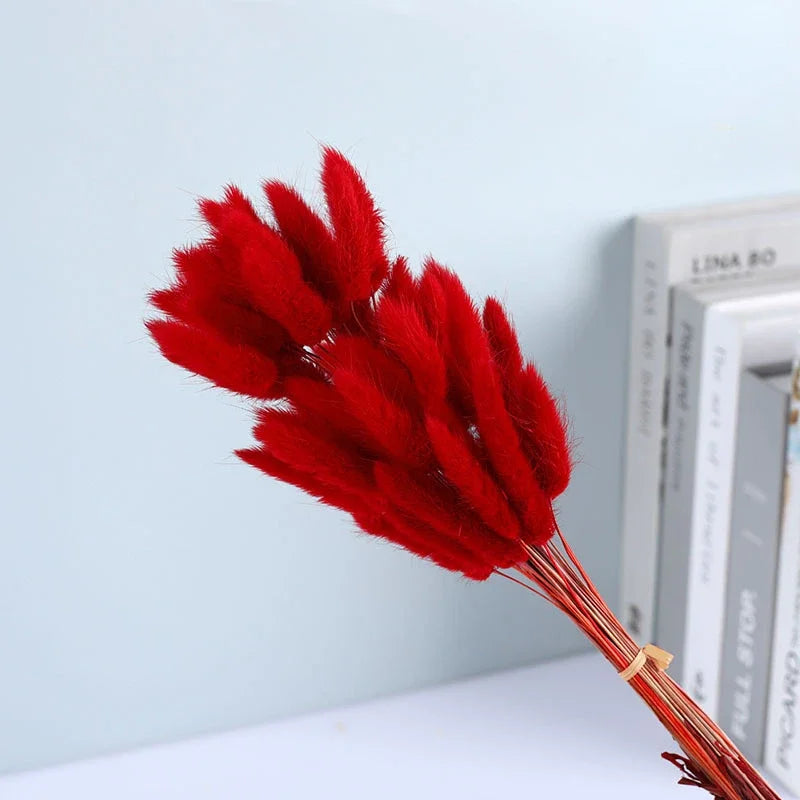 Dried Flower Bouquet Nature Black Bunny Rabbit Tail Arrange Boho Home Decor Halloween Pamaps Grass Wedding Party DIY Accessories