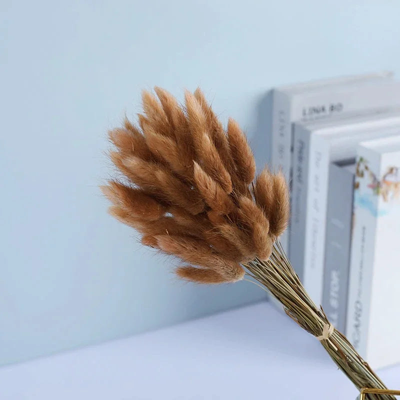 Dried Flower Bouquet Nature Black Bunny Rabbit Tail Arrange Boho Home Decor Halloween Pamaps Grass Wedding Party DIY Accessories