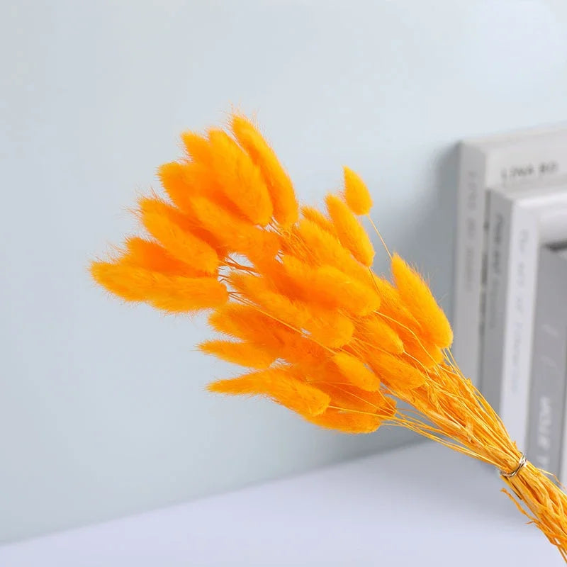 Dried Flower Bouquet Nature Black Bunny Rabbit Tail Arrange Boho Home Decor Halloween Pamaps Grass Wedding Party DIY Accessories