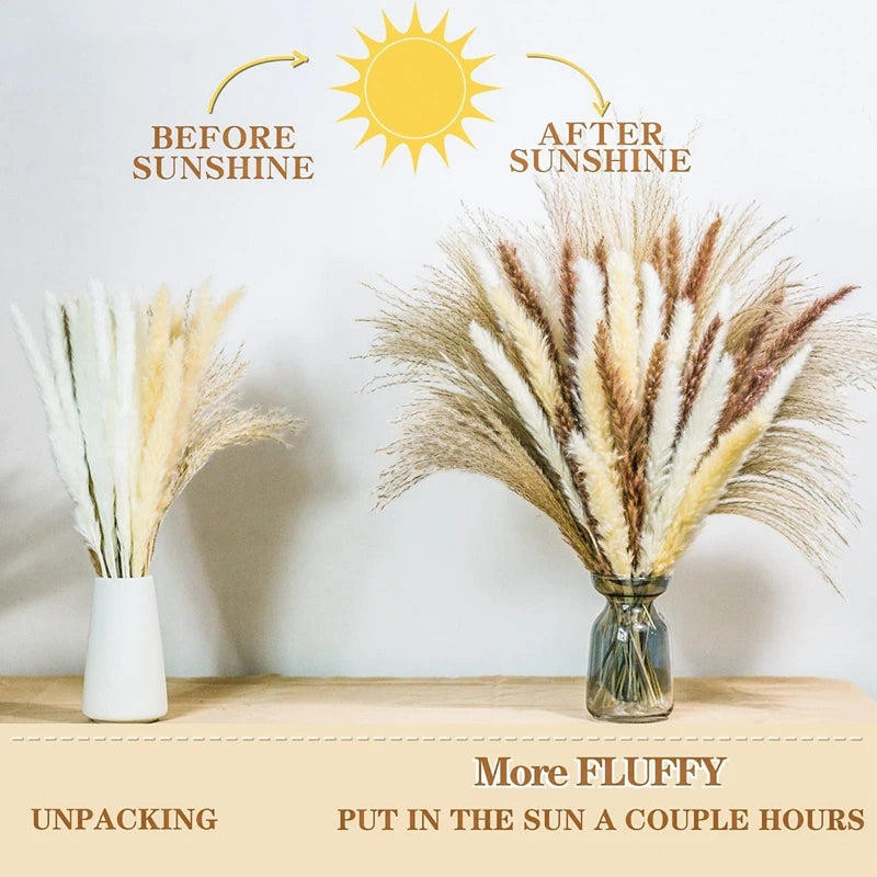 60PCS Dry Flower For Decoration Pampas Grass Boho Home Decor Country Wedding Accessories Deco Dried Flowers Dekoration Pampa