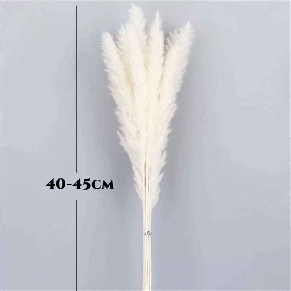 60PCS Dry Flower For Decoration Pampas Grass Boho Home Decor Country Wedding Accessories Deco Dried Flowers Dekoration Pampa