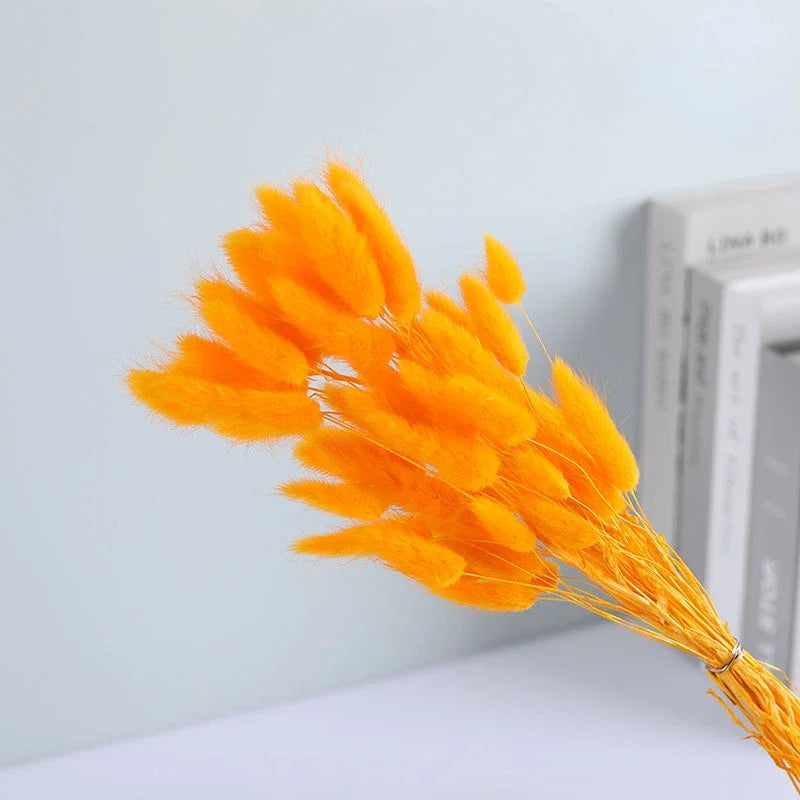 Dried Flower Bouquet Nature Black Bunny Rabbit Tail Arrange Boho Home Decor Halloween Pamaps Grass Wedding Party DIY Accessories