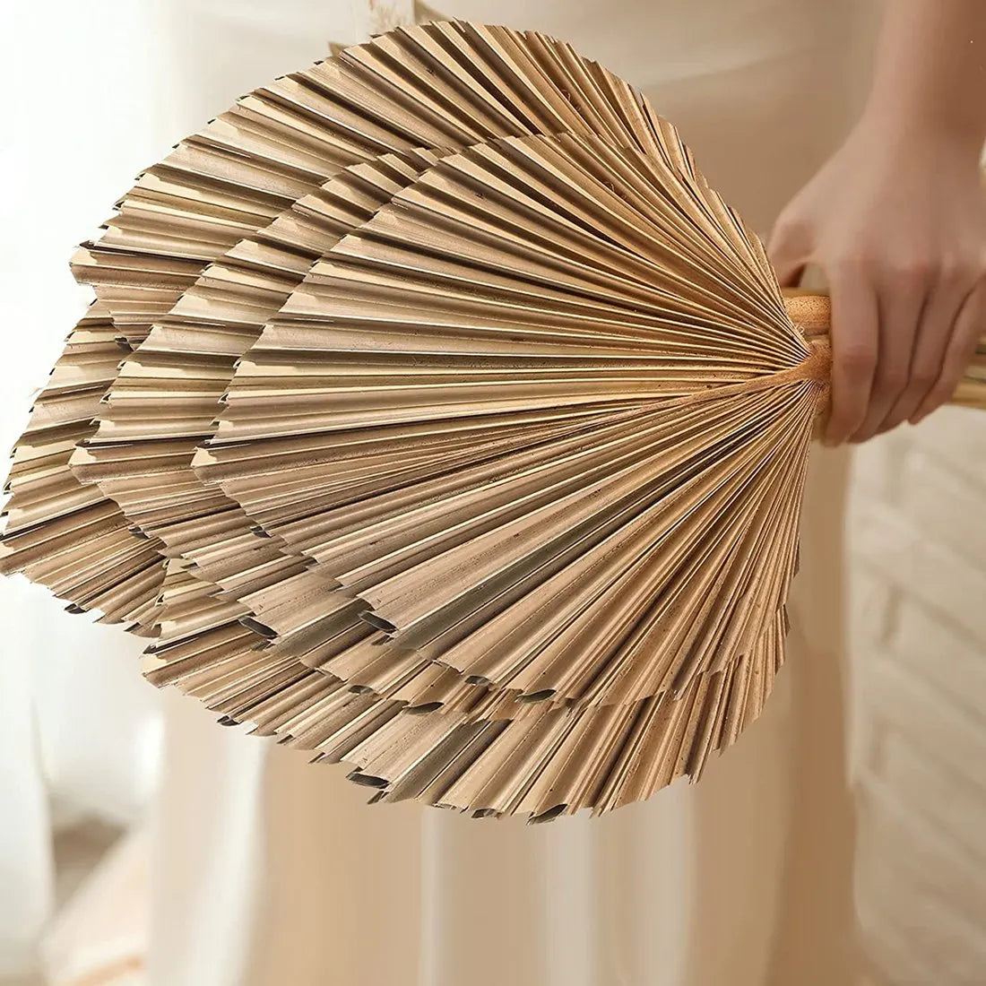 5Pcs Natural Dried Palm Leaves Tropical Dried Palm Fans Boho Dry Leaves Decor for Home Kitchen Wedding