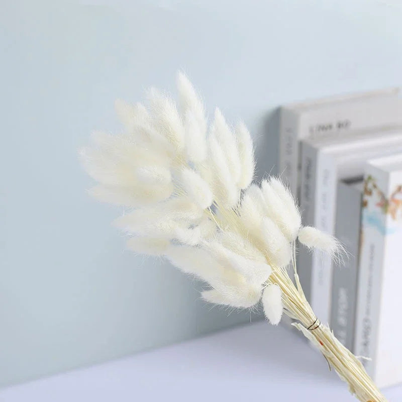 Dried Flower Bouquet Nature Black Bunny Rabbit Tail Arrange Boho Home Decor Halloween Pamaps Grass Wedding Party DIY Accessories