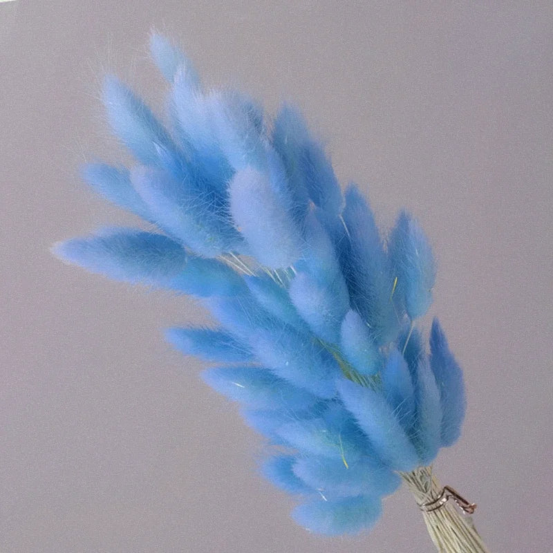 Dried Flower Bouquet Nature Black Bunny Rabbit Tail Arrange Boho Home Decor Halloween Pamaps Grass Wedding Party DIY Accessories