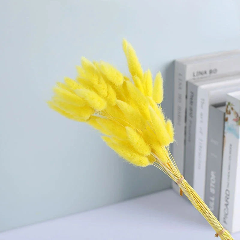 Dried Flower Bouquet Nature Black Bunny Rabbit Tail Arrange Boho Home Decor Halloween Pamaps Grass Wedding Party DIY Accessories