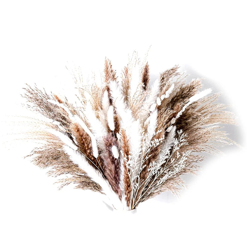60PCS Dry Flower For Decoration Pampas Grass Boho Home Decor Country Wedding Accessories Deco Dried Flowers Dekoration Pampa