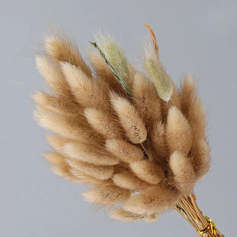 Dried Flower Bouquet Nature Black Bunny Rabbit Tail Arrange Boho Home Decor Halloween Pamaps Grass Wedding Party DIY Accessories