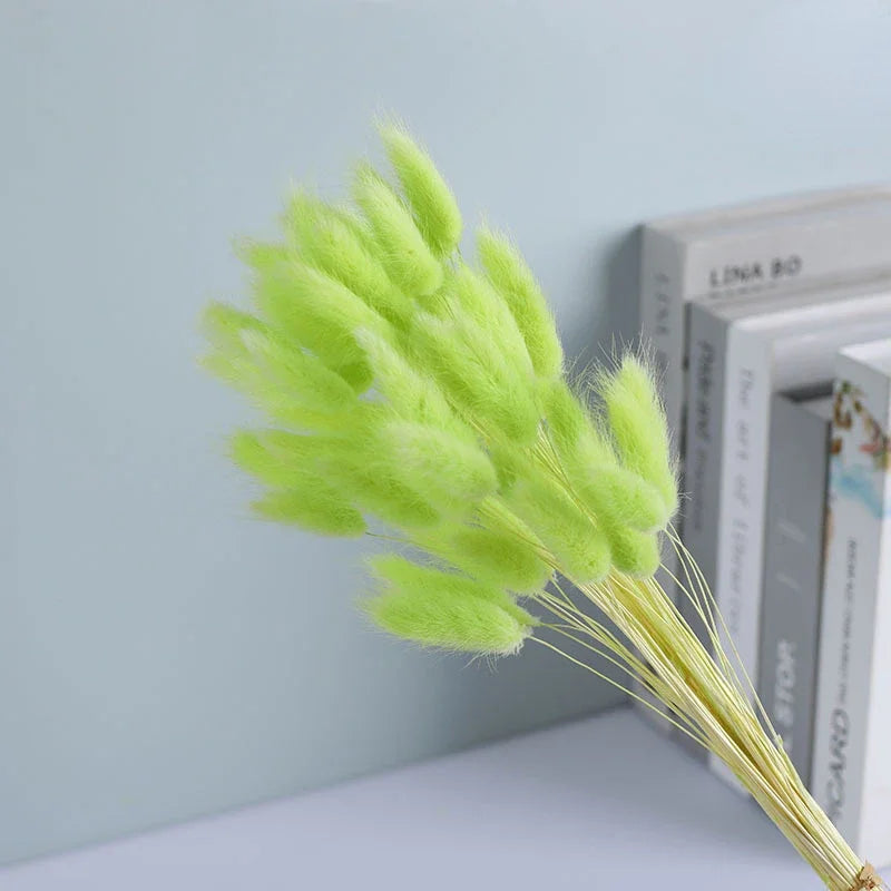 Dried Flower Bouquet Nature Black Bunny Rabbit Tail Arrange Boho Home Decor Halloween Pamaps Grass Wedding Party DIY Accessories