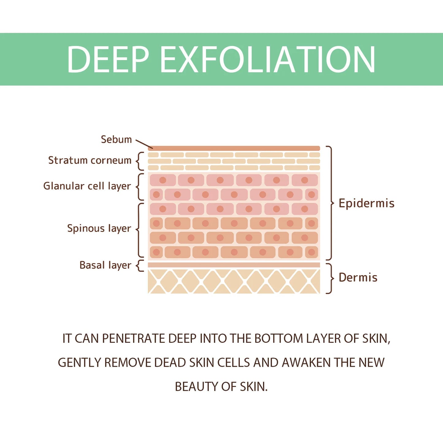 Hoygi 100g Face Exfoliating Gel Herbal Deep Cleansing Shrink Pores Blackhead Removal Moisturizing Repair Exfoliation Peeling Gel