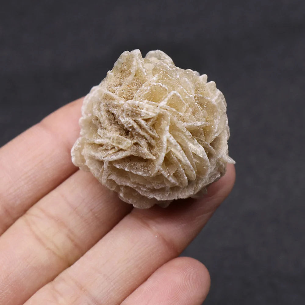 Desert Rose Selenite Stone Natural Quartz Crystal Reiki Healing Gem Mineral Specimen Adenium Obesum Home Decor Gifts