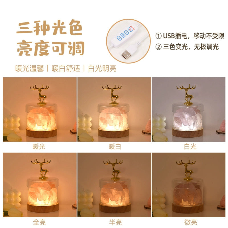 Himalayan Salt Lamps Fragrance Lamp Ore Crystal Salt Stone Small Night Lamp Bedroom Sleep Bedside Lamp Ambience Light Mood