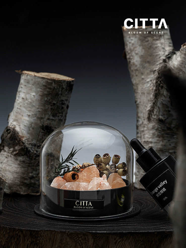 Citta Bedroom Fragrant Stone Decoration Birthday Gift Gift for Boyfriend Or Girlfriend