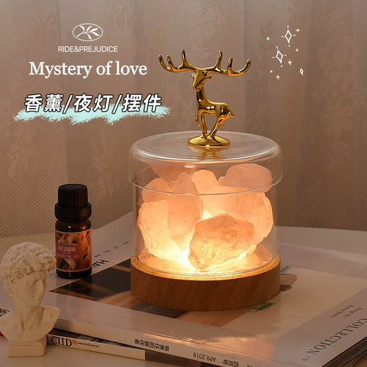 Himalayan Salt Lamps Fragrance Lamp Ore Crystal Salt Stone Small Night Lamp Bedroom Sleep Bedside Lamp Ambience Light Mood