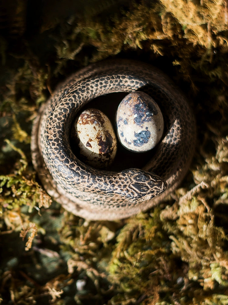 Juhan Coiled Simulated Snakes Ornaments Vase Alternative Decorative Gift Grocery Garden Creative [Su Qi]]