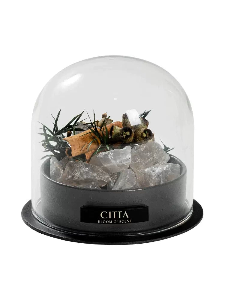 Citta Bedroom Fragrant Stone Decoration Birthday Gift Gift for Boyfriend Or Girlfriend