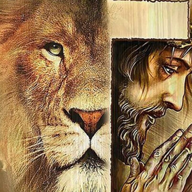 Lion Of Judah God Jesus Religious Christ Spiritual Holy Cross Ultra Soft Flannel Blanket By Ho Me Lili Indoor And Outdoor Use